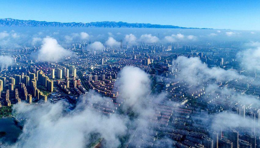 蝎子逃生之地